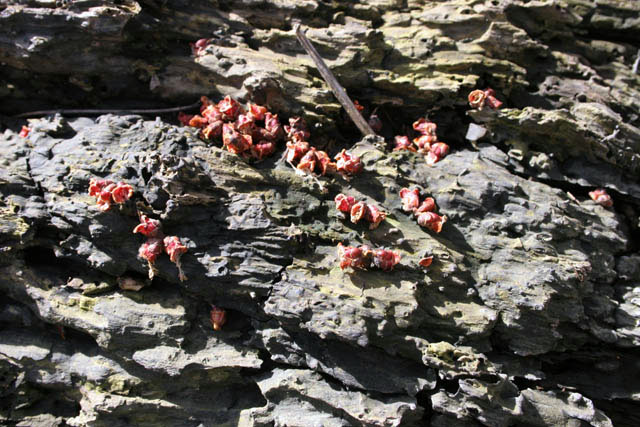 Osceola, St Croix River Valley, Wisconsin. United States of America.
