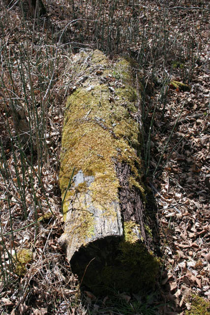 Osceola, St Croix River Valley, Wisconsin. United States of America.