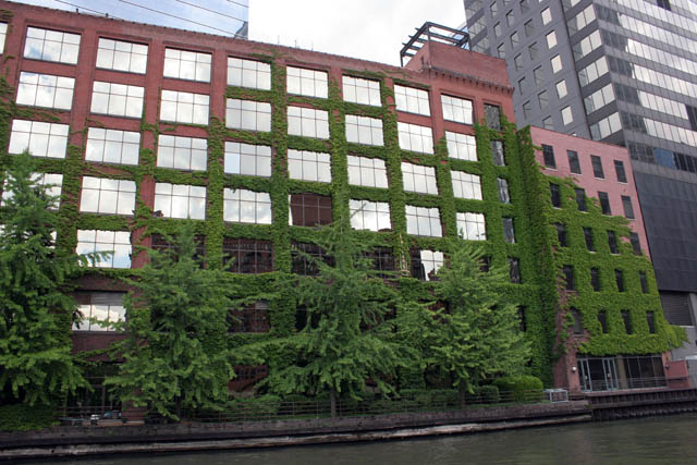 Chicago. United States of America.