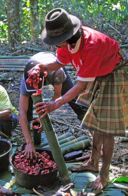 At funeral ceremony. Preparing food for guests. Tana Toraj area. Sulawesi,  Indonesia.