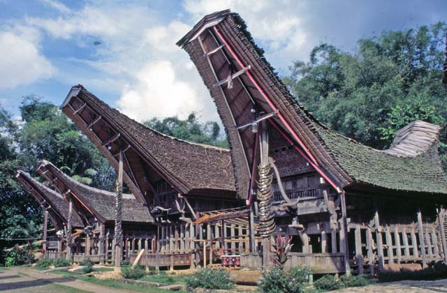 Traditional houses tongkonan, Tana Toraja area. Sulawesi,  Indonesia.
