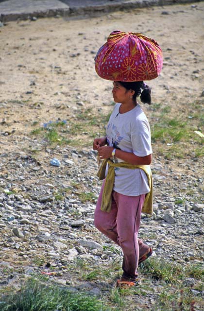 Coming back from fields. Tana Toraja area. Sulawesi,  Indonesia.