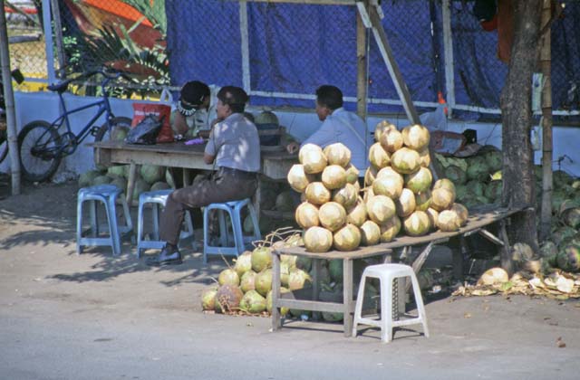 Coconut seller at Ujung Pandang town. Sulawesi,  Indonesia.