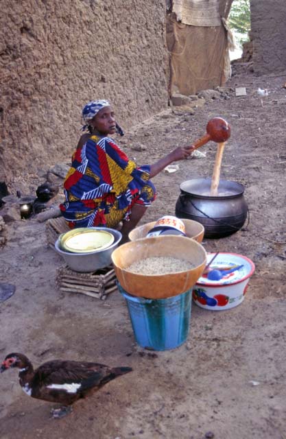 Food making at small village on the bank of Niger river. Mali.