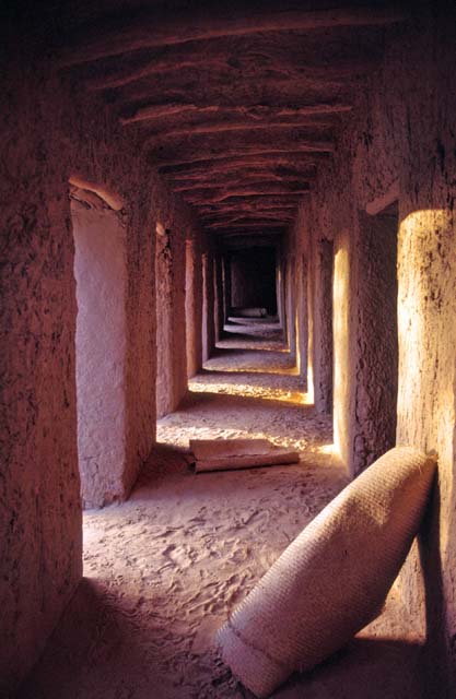 Tomb of Askia. Gao town. Mali.