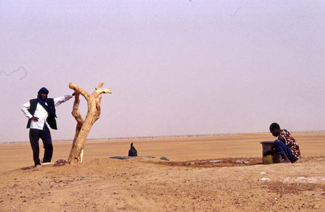 Well at the edge of an oasis. Sahara desert. Mali.