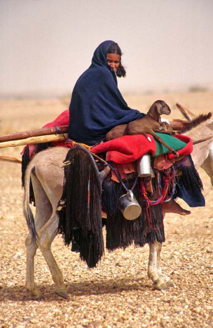 Tuaregs on the way to reach new place for living. Sahara desert. Mali.