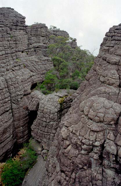 Grampians national park. Australia.
