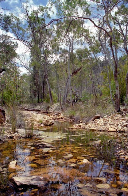 Mount Remarkable national park. Australia.