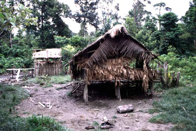Traditional mentawai house. Siberut island. Sumatra,  Indonesia.