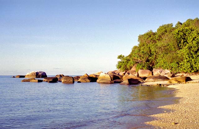 Beach at Fitzoy island. Australia.