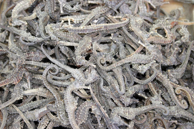 Shop with traditional chinese medicine. Hong Kong.