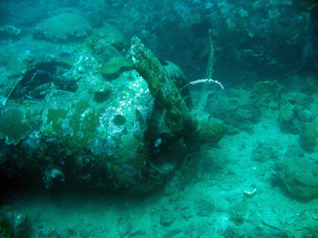 Diving around Togian islands, Kadidiri, plane wreck B24 from the 2nd World War sunken on Mai 3rd, 1945. Sulawesi,  Indonesia.