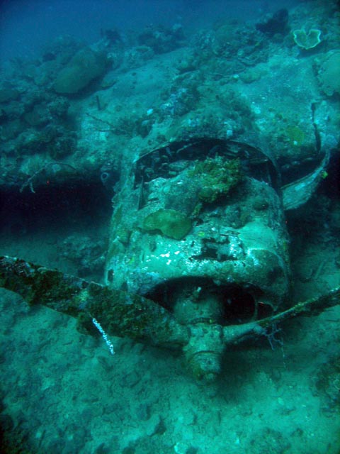 Diving around Togian islands, Kadidiri, plane wreck B24 from the 2nd World War sunken on Mai 3rd, 1945. Sulawesi,  Indonesia.