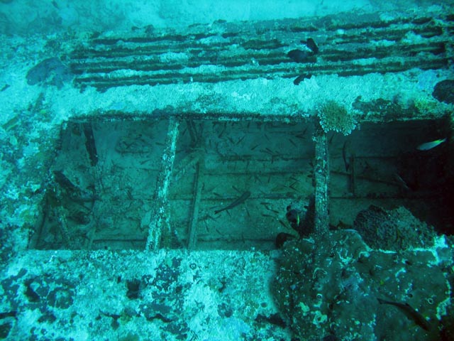 Diving around Biak islands, Catalina wreck dive site. Papua,  Indonesia.