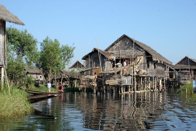 Water life. Inle Lake. Myanmar (Burma).