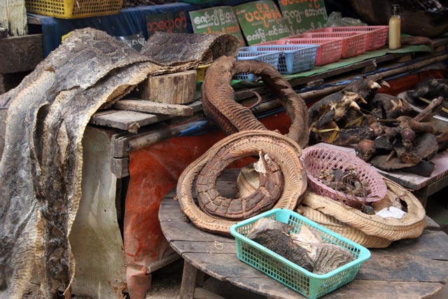 Traditional medicine stalls, Kyaiktiyo. Myanmar (Burma).