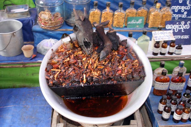 Traditional medicine stalls, Kyaiktiyo. Myanmar (Burma).
