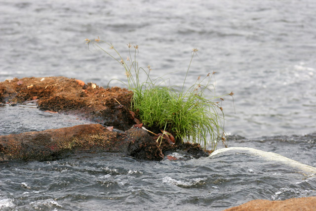 Lobe River. Cameroon.