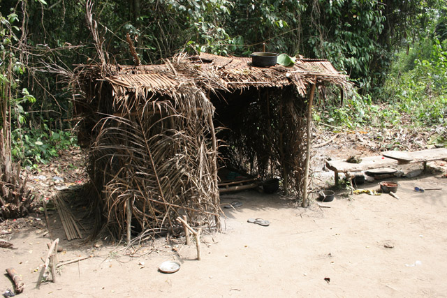 Pygmy village down to the Lobe River. The Pygmy people are forest dwellers, know the forest, its plants and its animals. They live by hunting animals such as antelopes, pigs and monkeys, fishing, and gathering honey, wild yams, berries and other plants. Cameroon.