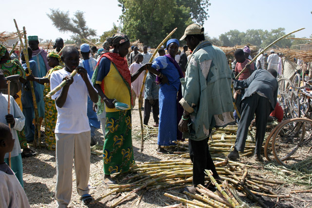 Village market at Kujapa. Mandara Mountains area. Cameroon.
