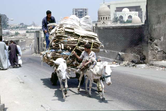 Street in Cairo. Egypt.