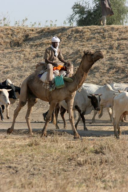 Near Maga village. Cameroon.