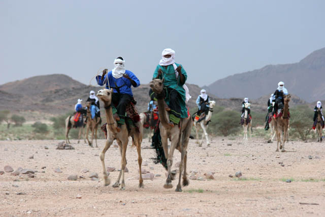 Camel race at traditional tuareg wedding party. Air Mountain area. Niger.