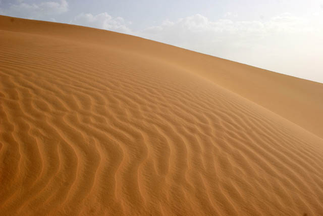 Sand dunes on the way to Arrakau. Sahara desert. Niger.
