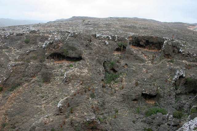 View around Dixam Plateau. Socotra (Suqutra) island. Yemen.