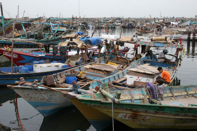 Fish harbor at the edge of Al-Hudayda town. Traditional dhow boats (arabic sailboats) are very colorful. Yemen.