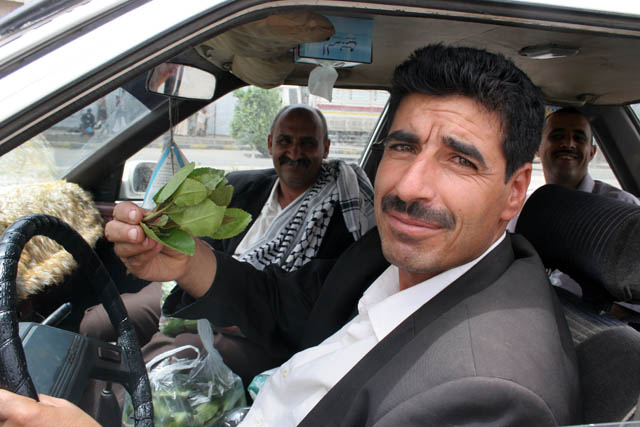Bought. Happy drive-away from qat market at Sana city. Yemen.