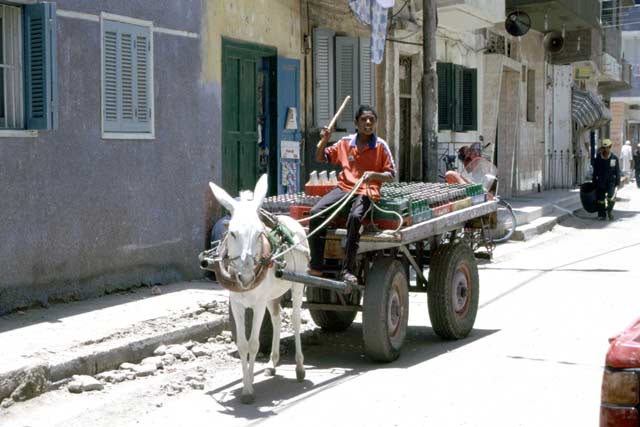 Street in Luxor. Egypt.
