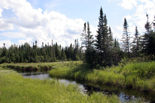 North Shore area, Minnesota. United States of America.