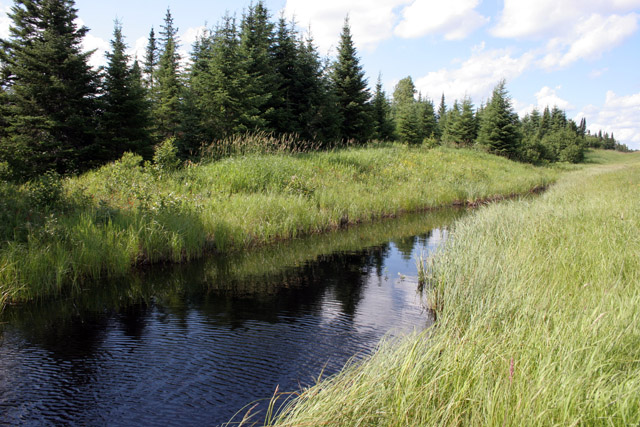 North Shore area, Minnesota. United States of America.