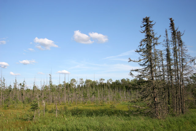 North Shore area, Minnesota. United States of America.