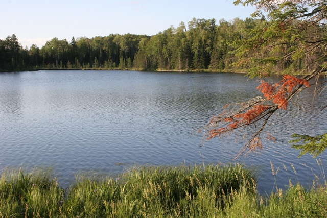 North Shore area, Minnesota. United States of America.