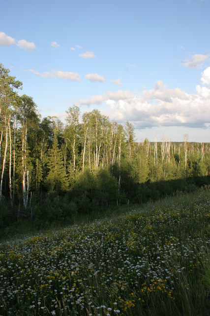 North Shore area, Minnesota. United States of America.