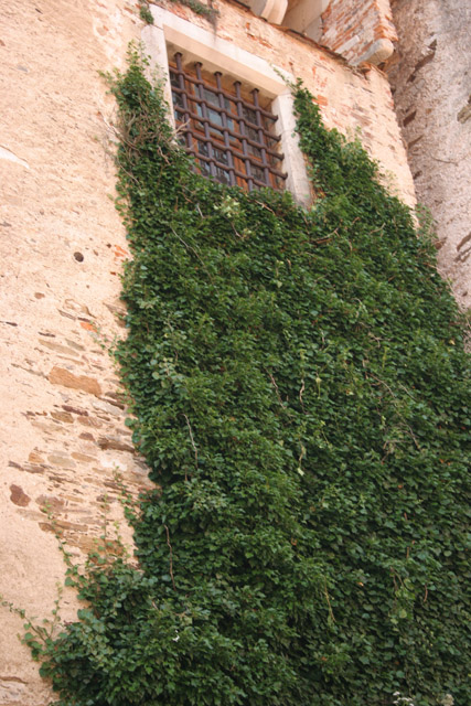 Pernstejn Castle, founded in 13th century is is one of the best-preserved Gothic-Renaissance forts in Europe. Nedvedice. Czech Republic.