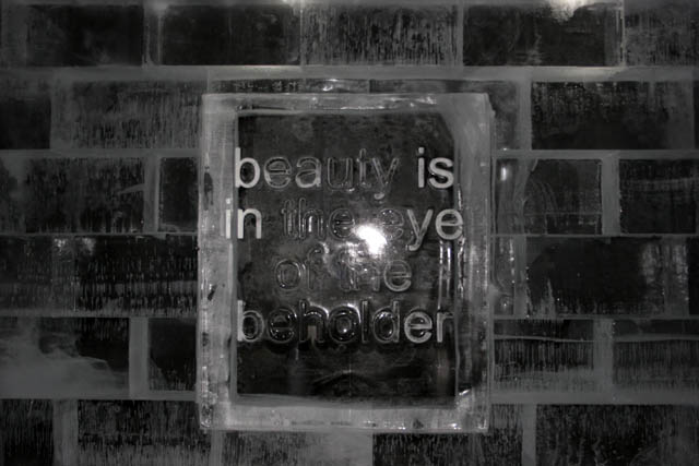 Ice beauty. Absolut Icebar Tokyo. Japan.