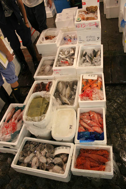 Tsukiji fish market, Tokyo. Japan.