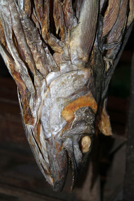 Dry fishes - fish market, Sittwe town. Myanmar (Burma).