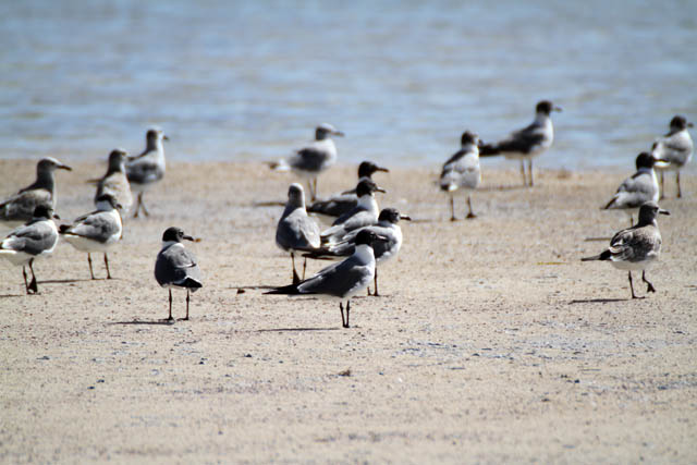 La Boca beach, Playa Santa Lucia. Cuba.