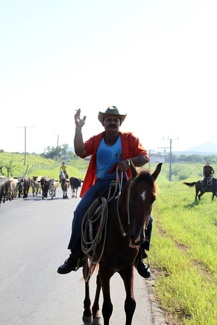 Real cowboys. Cuba.