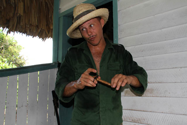 Cigar is almost ready, tobacco farm, Vinales valley (Valle de Vinales). Cuba.