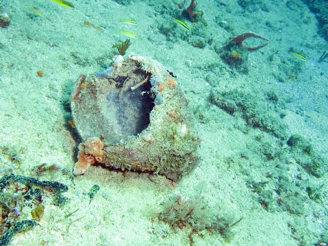 Amphora, Playa Santa Lucia. Cuba.