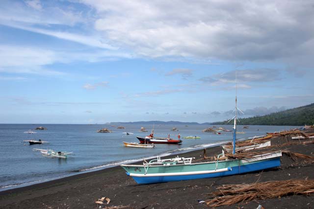 Tangkoko National Park. Sulawesi,  Indonesia.