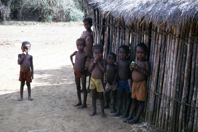 On the way to the Bekopaka village (Tsingy de Bemaraha National park). Madagascar.