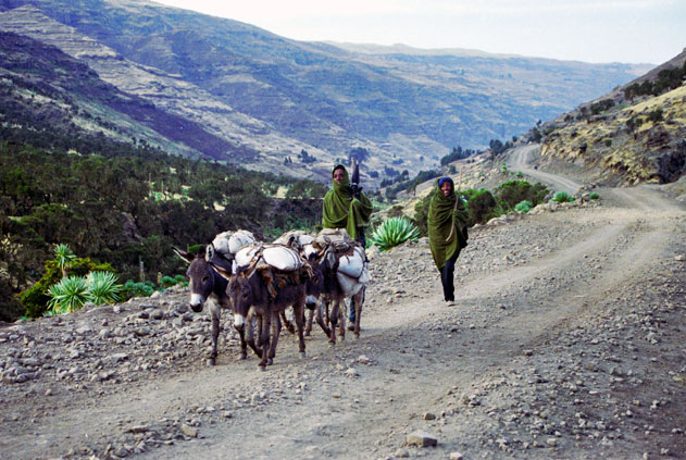 On the way to home from town. Simien mountain. North,  Ethiopia.